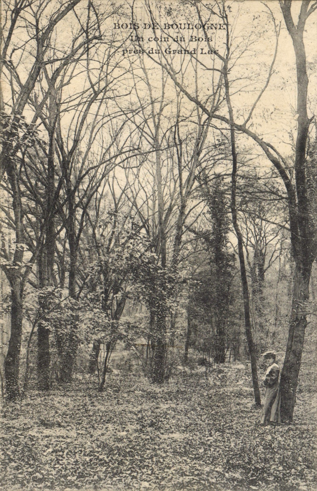 CPA Bois de Boulogne un coin du Bois pres du grand Lac