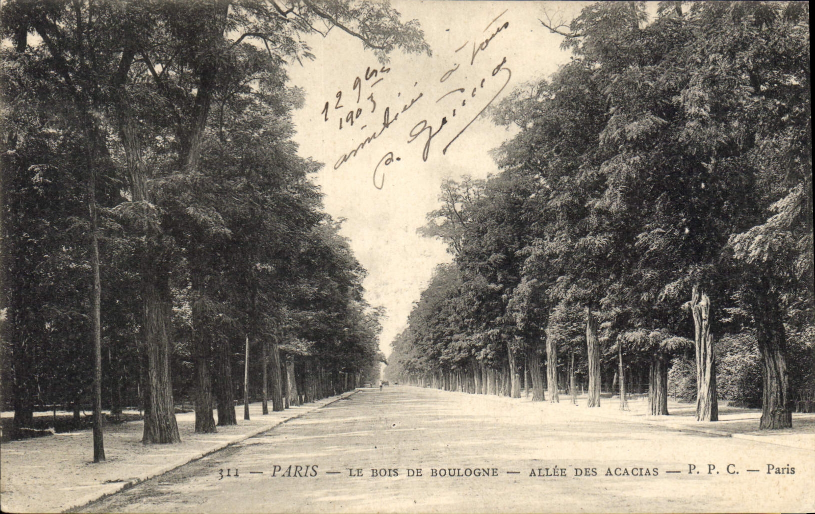 CPA Paris Le Bois de Boulogne Allee des Acacias