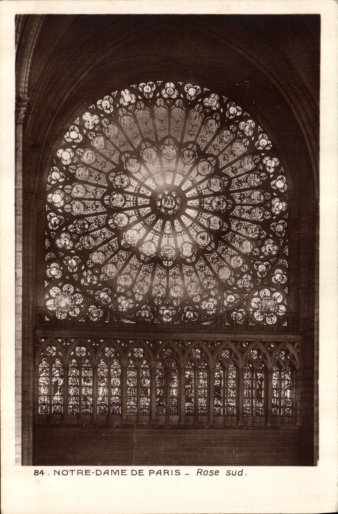 CPA Notre Dame de Paris Rose sud 