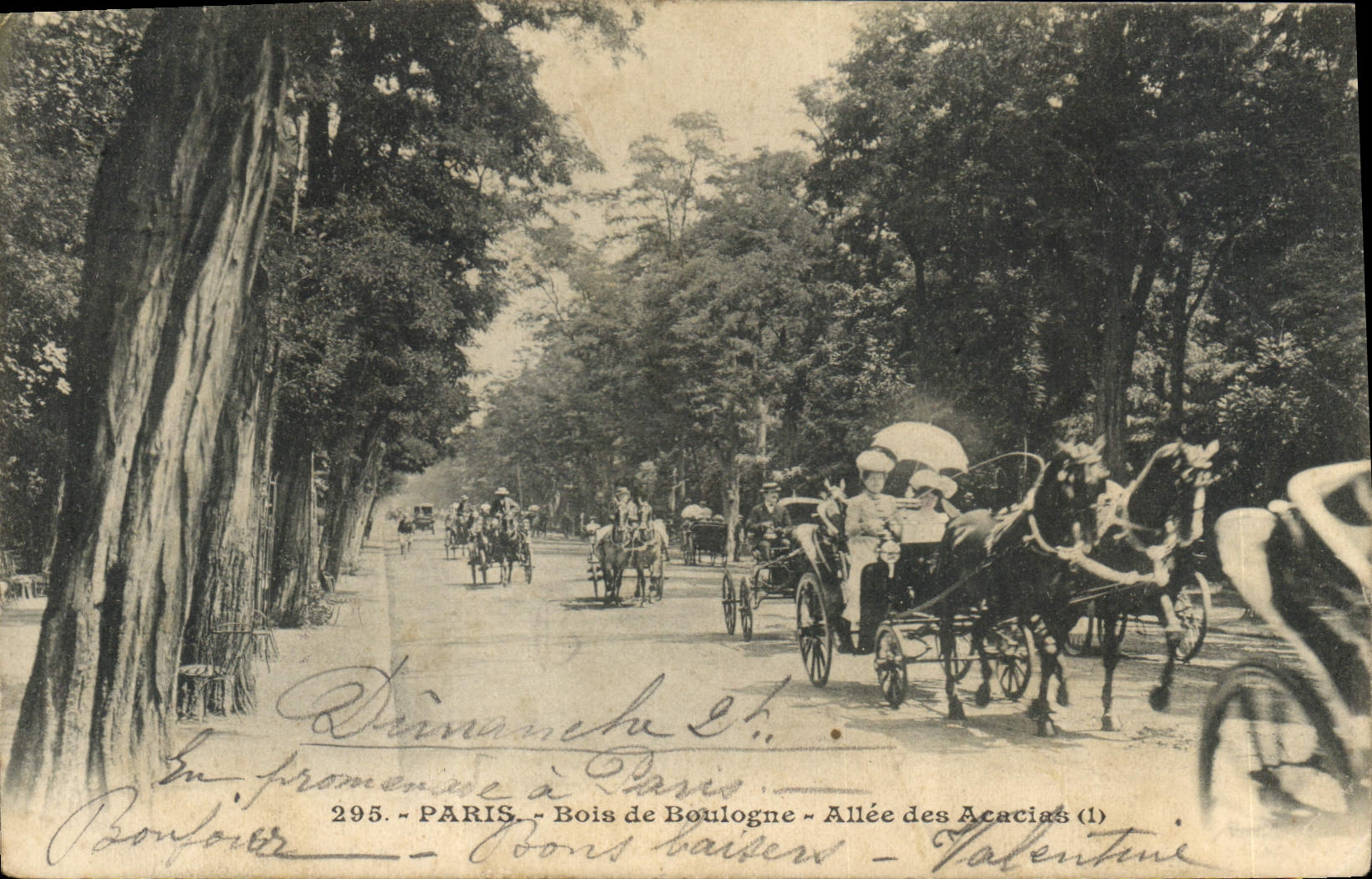 CPA Paris Bois de Boulogne Allee des Acacias Chevaux