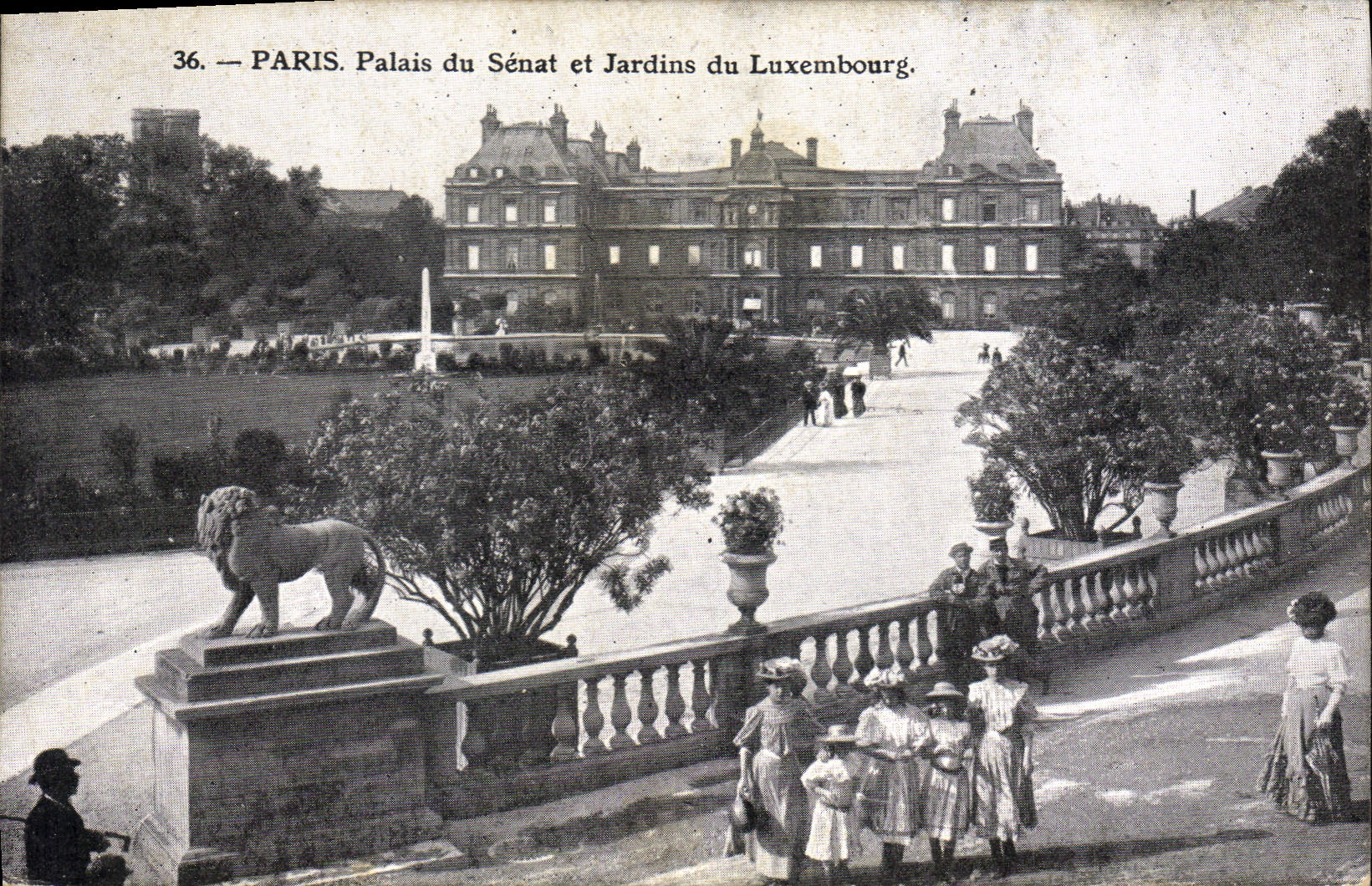 CPA Paris Palais du Senat et Jardin du Luxembourg