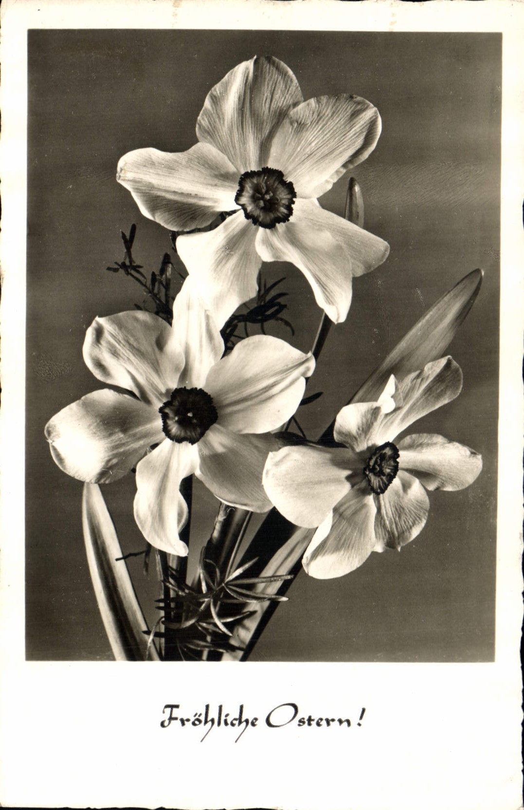 CPA Frohliche Ostern Fleurs