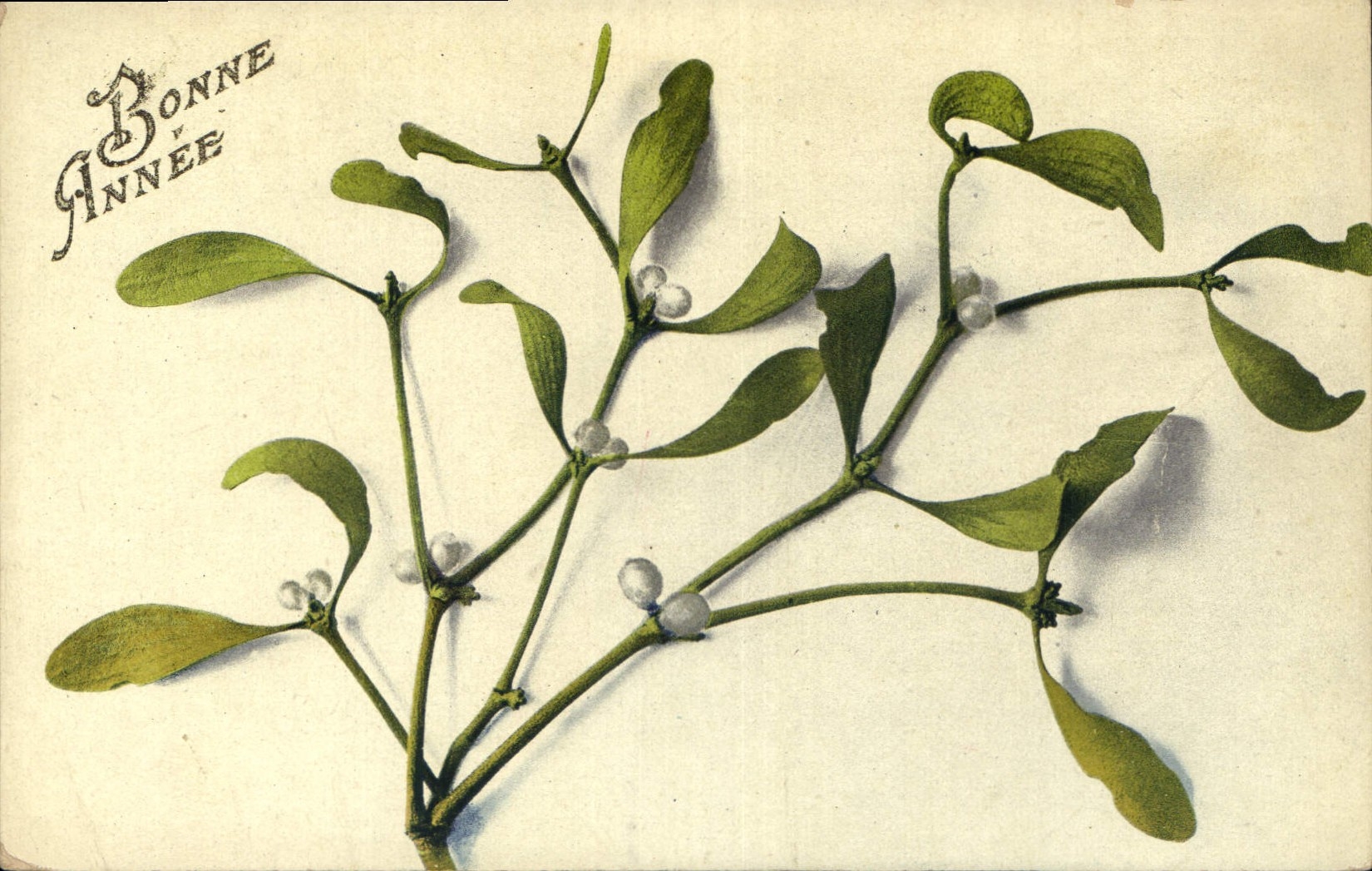 CPA Bonne Annee Fleurs