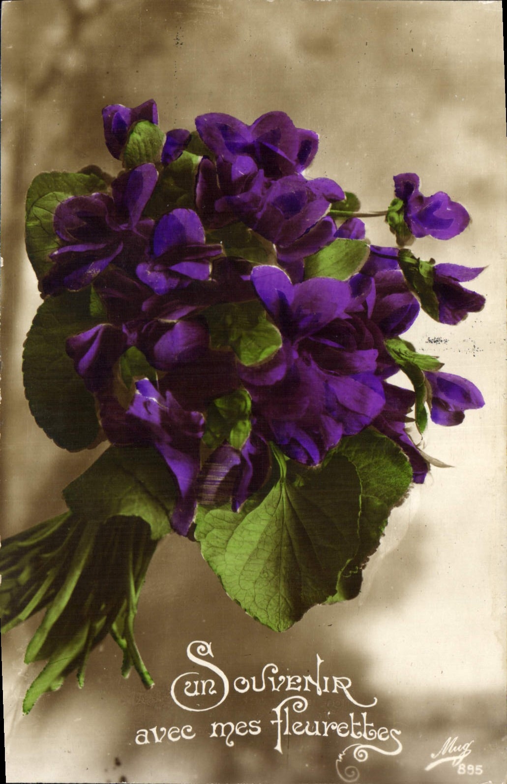 CPA Souvenir avec mes fleurettes Fleurs