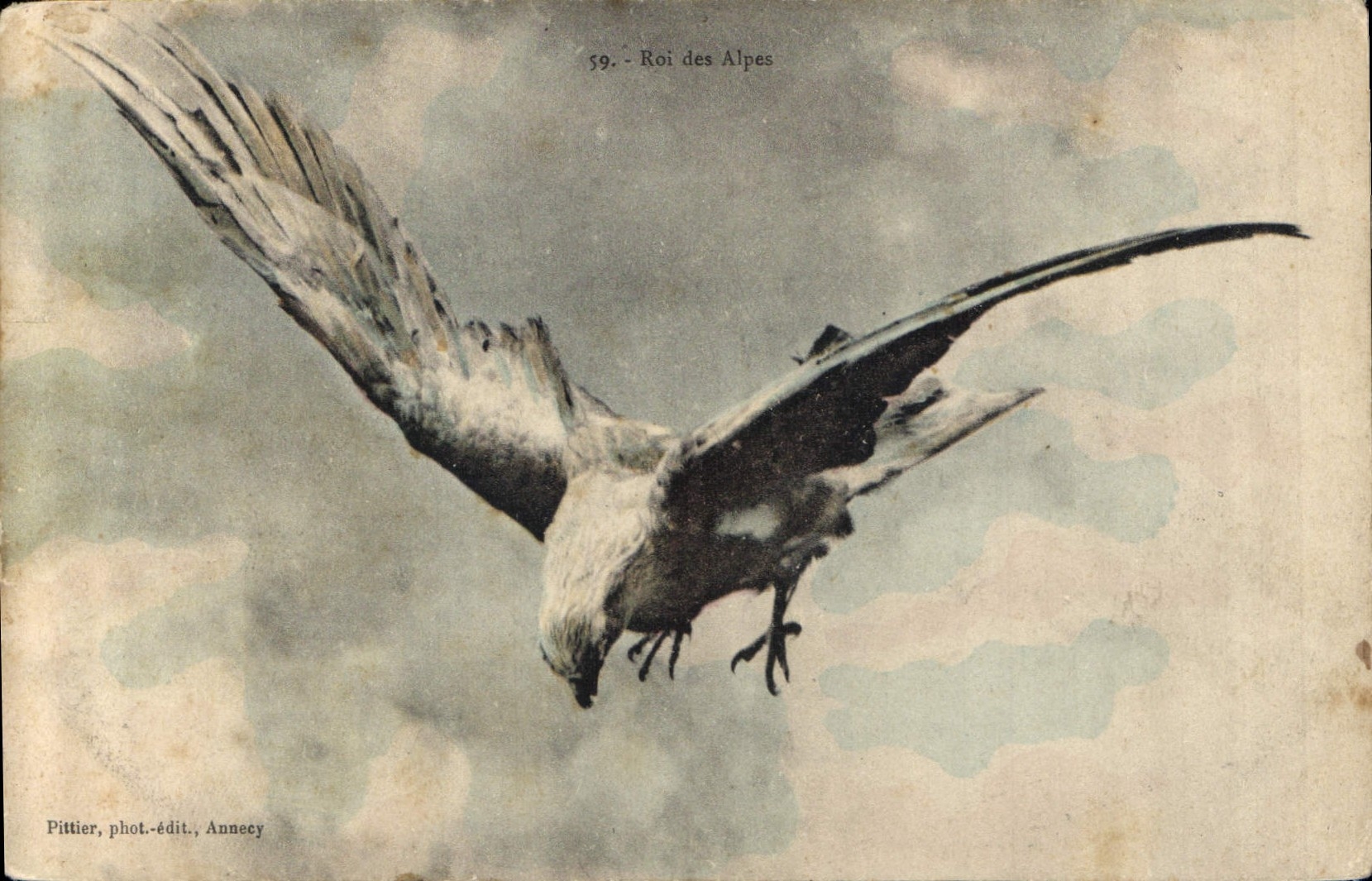 CPA Roi des Alpes Aigle
