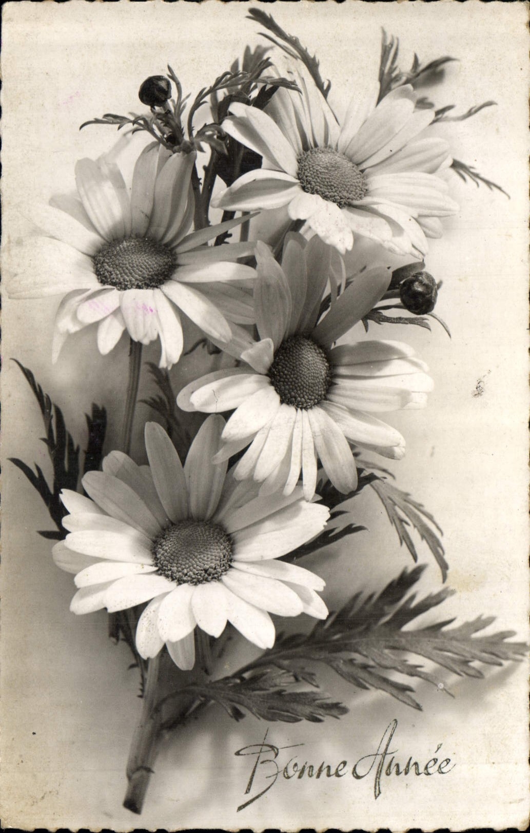 CPA Bonne Annee fleurs