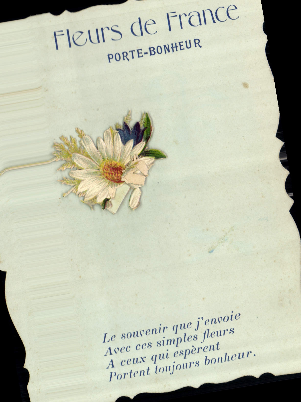 CPA Fleurs de France Porte Bonheur Fleurs