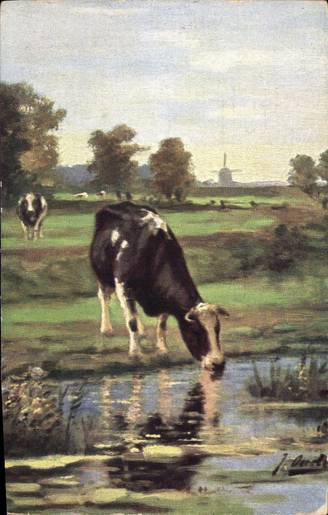 CPA Vache