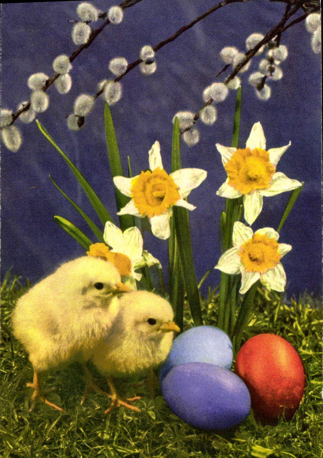 CPA Fleurs Poussins