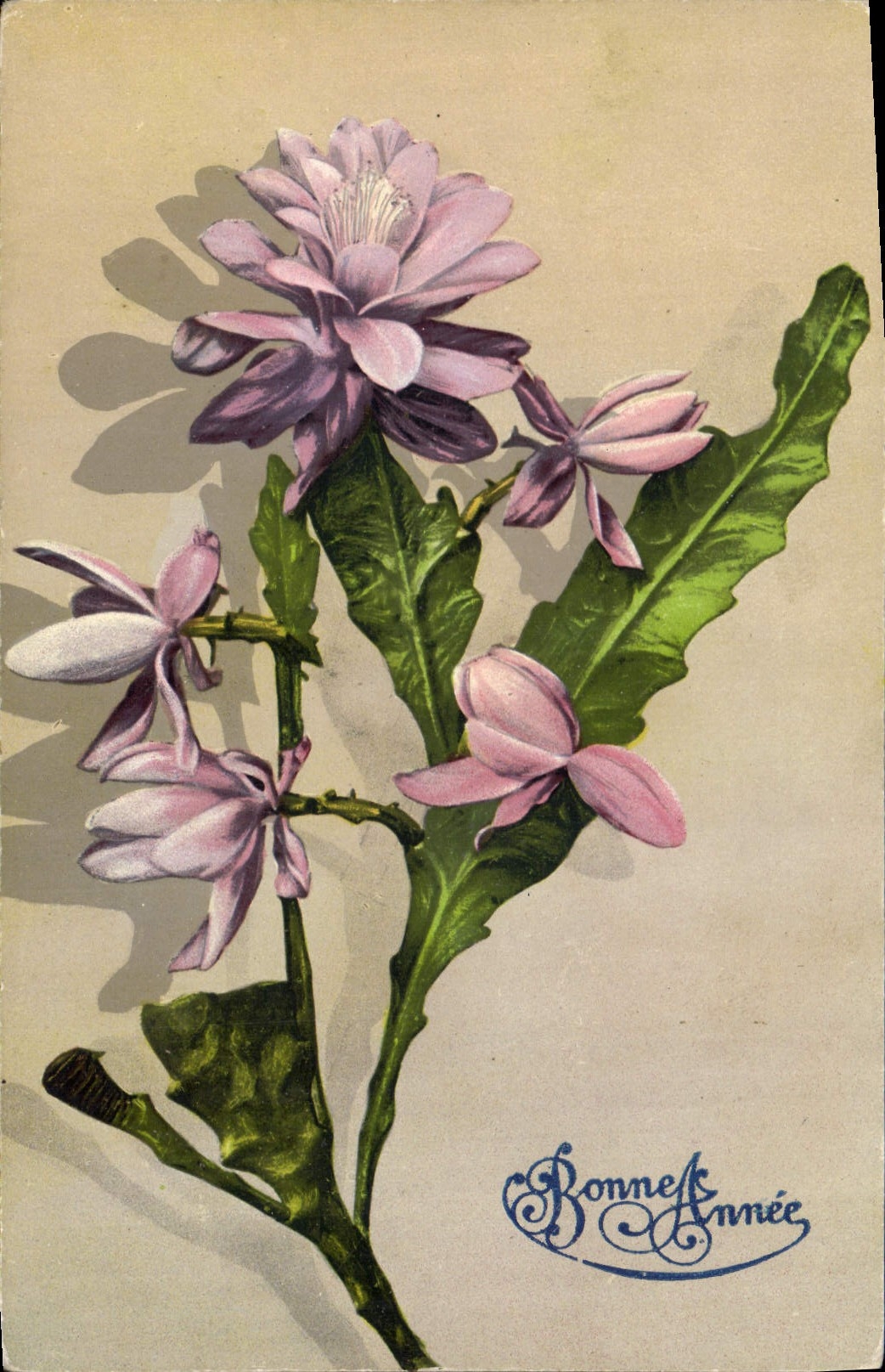 CPA Bonne Annee Fleurs
