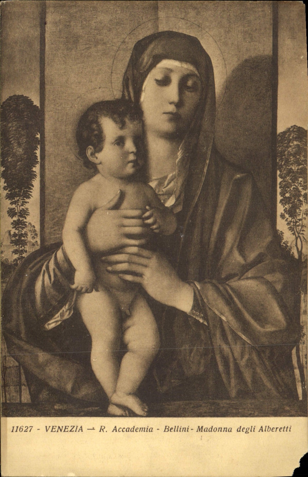 CPA Venezia R Accademia Bellini Madonna degli Alberetti 