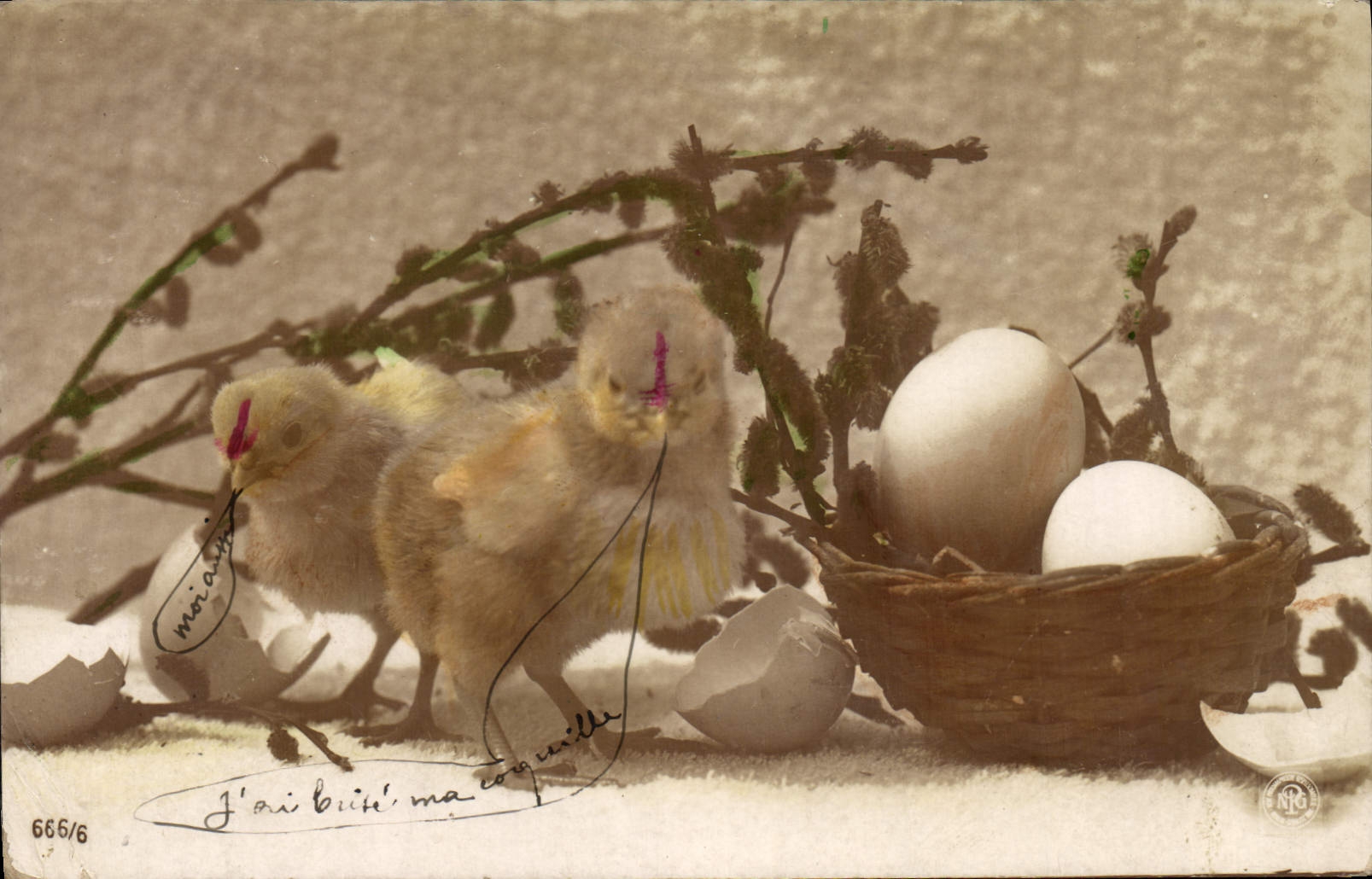 CPA Poussins Œufs