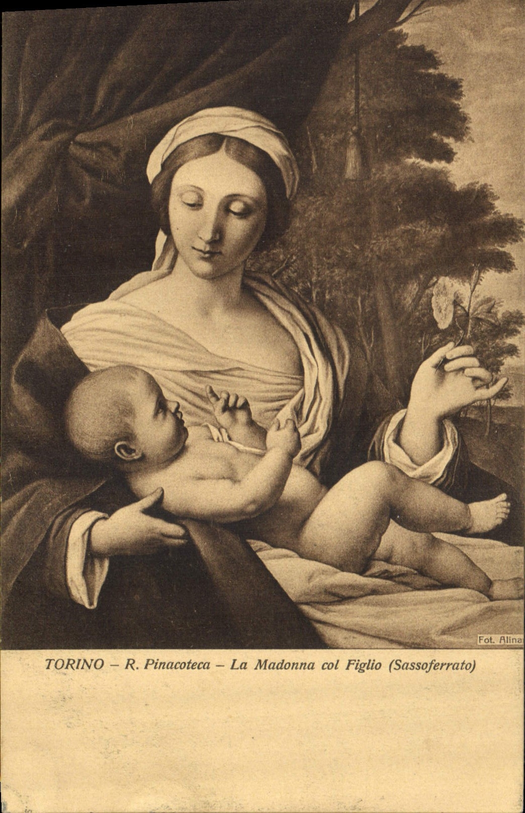 CPA Torino R Pinacoteca La Madonna col Figlio Sassoferrato 