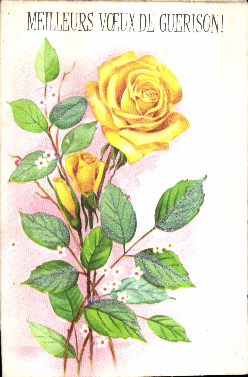 CPA Meilleurs Voeux de Guerison Fleurs