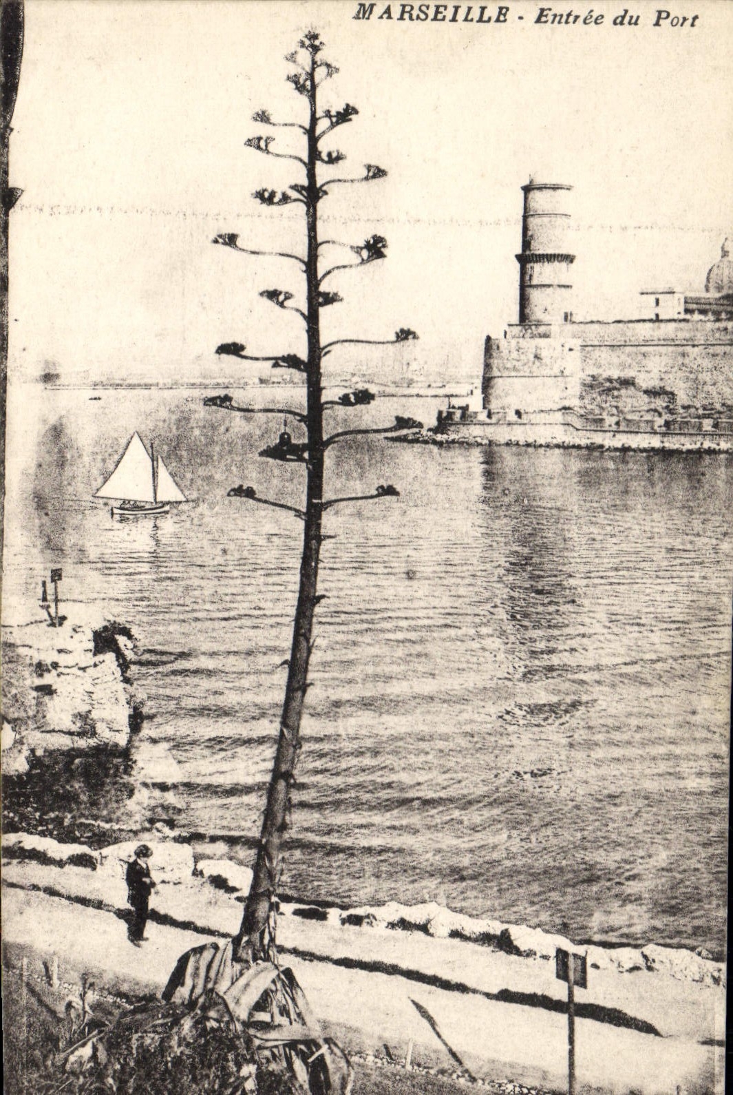 CPA Marseille Entree du Port 