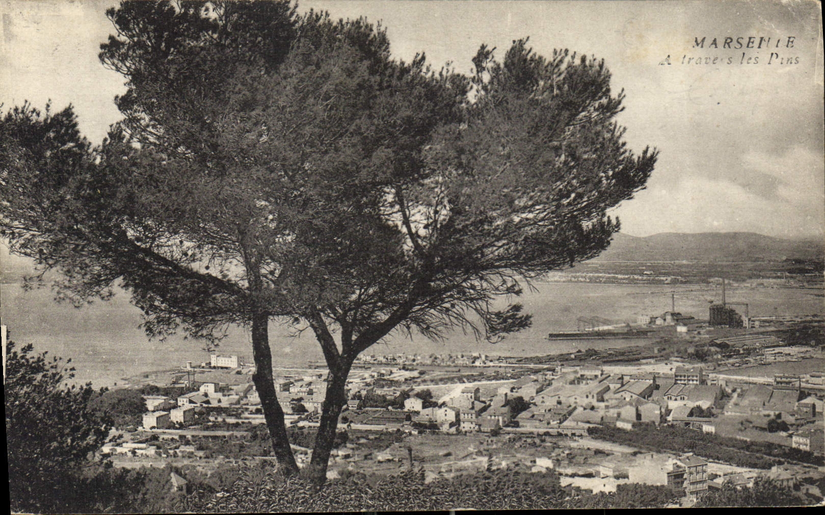 CPA Marseille A Travers les Pins 