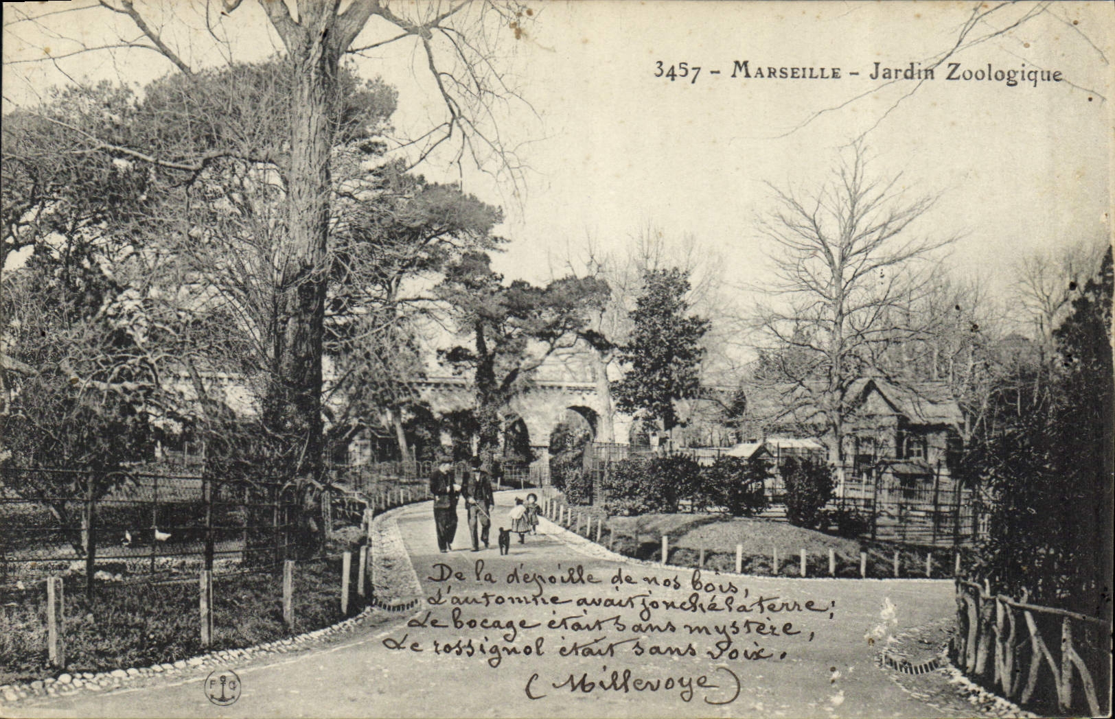 CPA Marseille Jardin Zoologique 