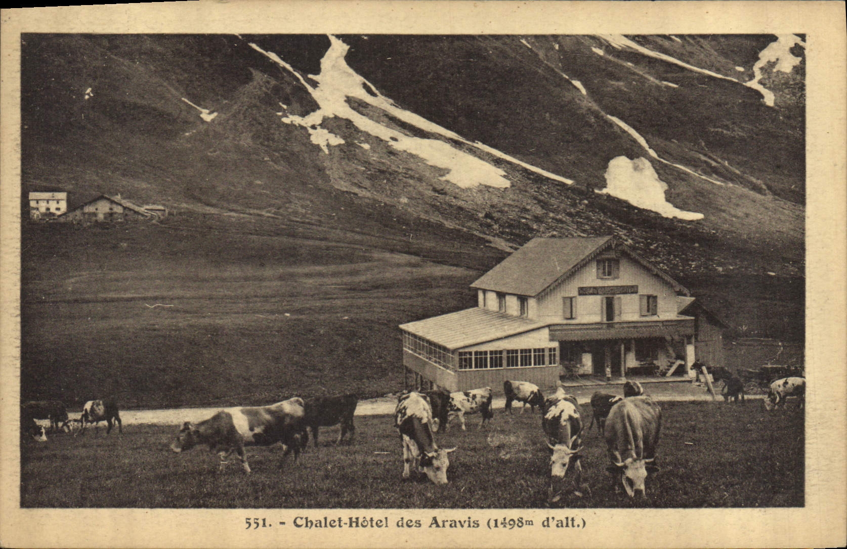 CPA Chalet Hotel des Aravis Vaches