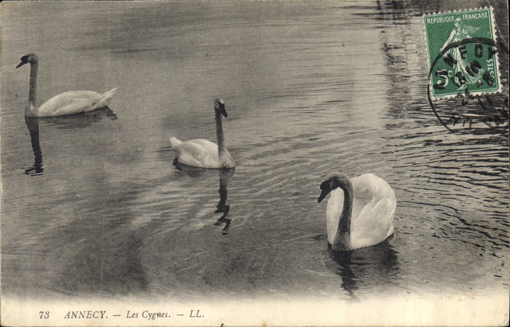 CPA Annecy Les Cygnes 