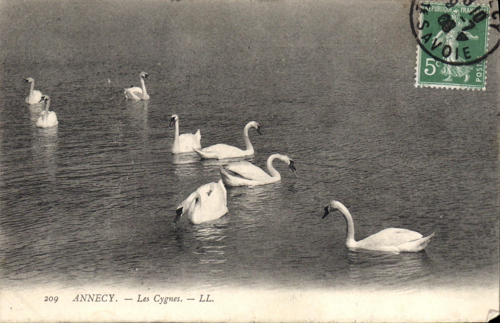 CPA Annecy Les Cygnes 