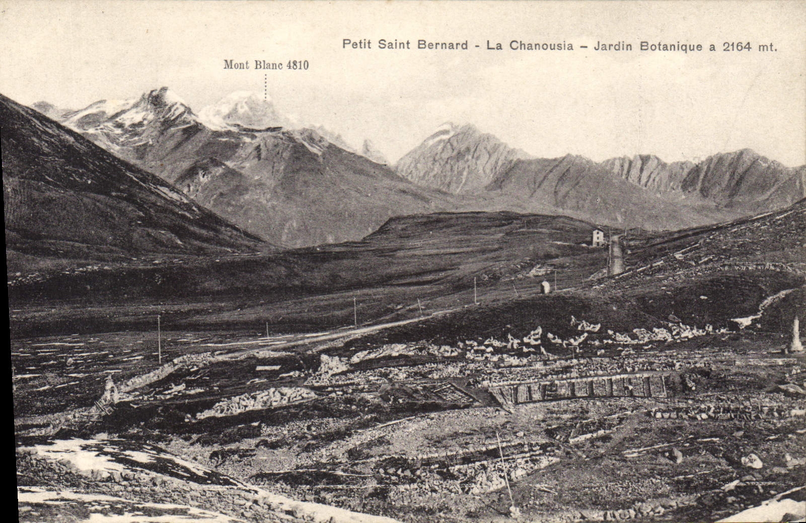 CPA Petit Saint Bernard La Chanousin Jardin Botanique 