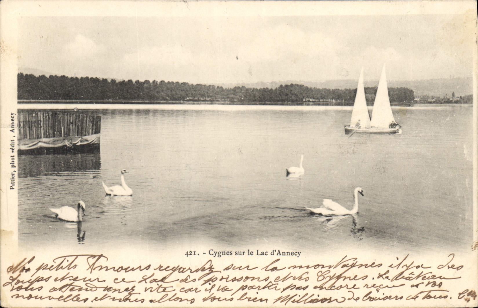 CPA Cygnes sur le Lac d'Annecy 