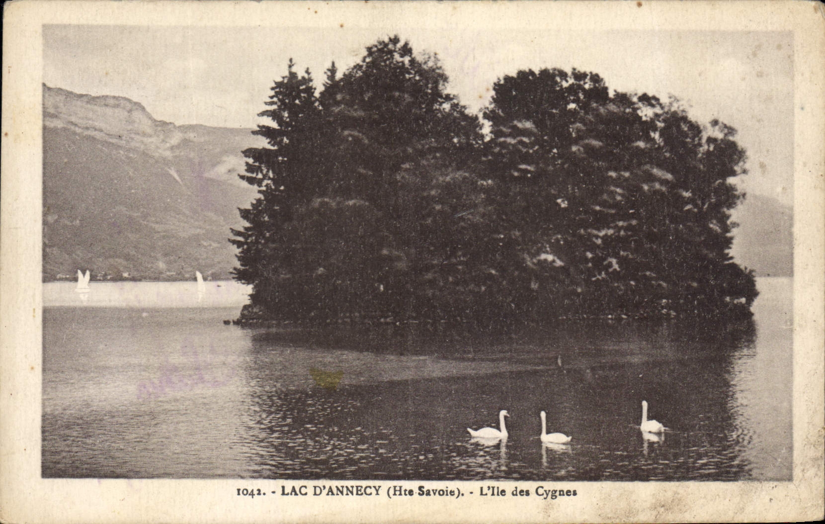 CPA Lac d'Annecy Haute Savoie L'Ile des Cygnes 