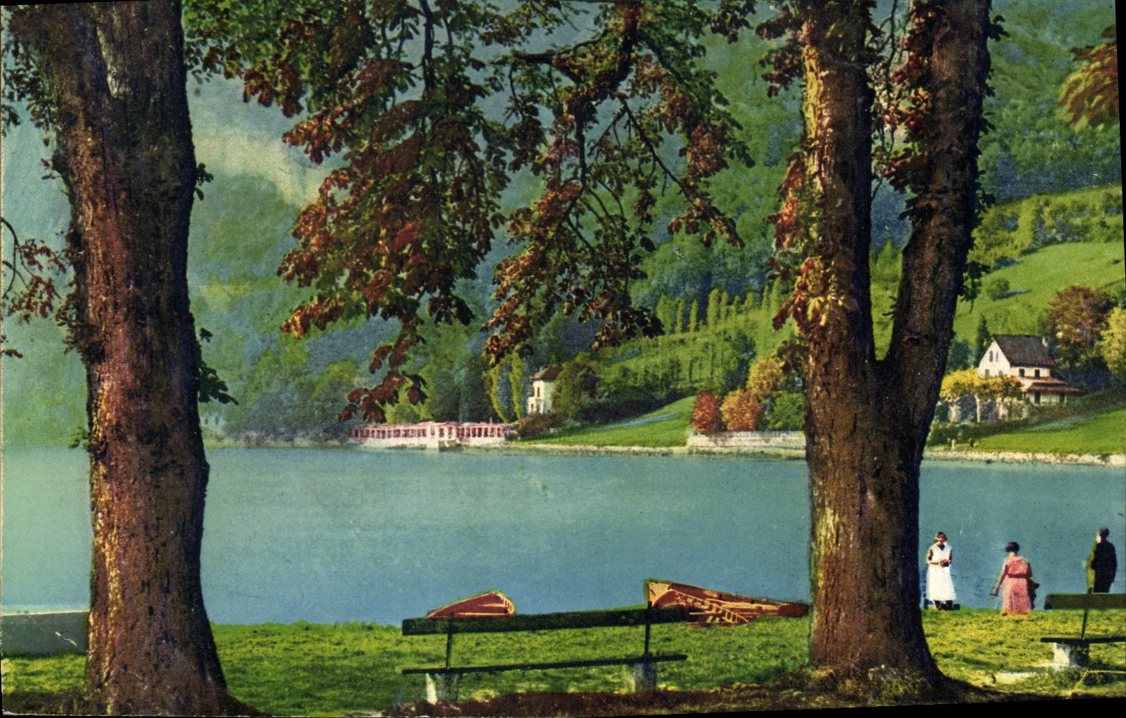 CPA Lac d'Annecy Talloires Bord du Lac 