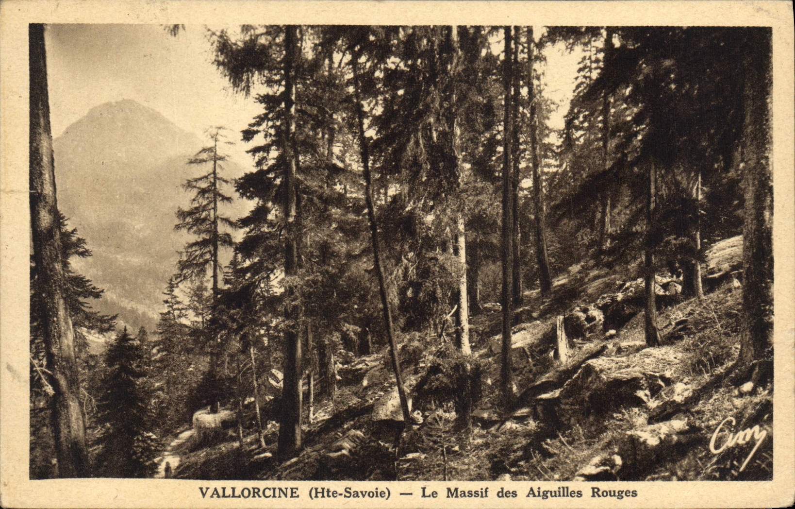 CPA Vallorcine Haute Savoie Le Massif des Aiguilles Rouges