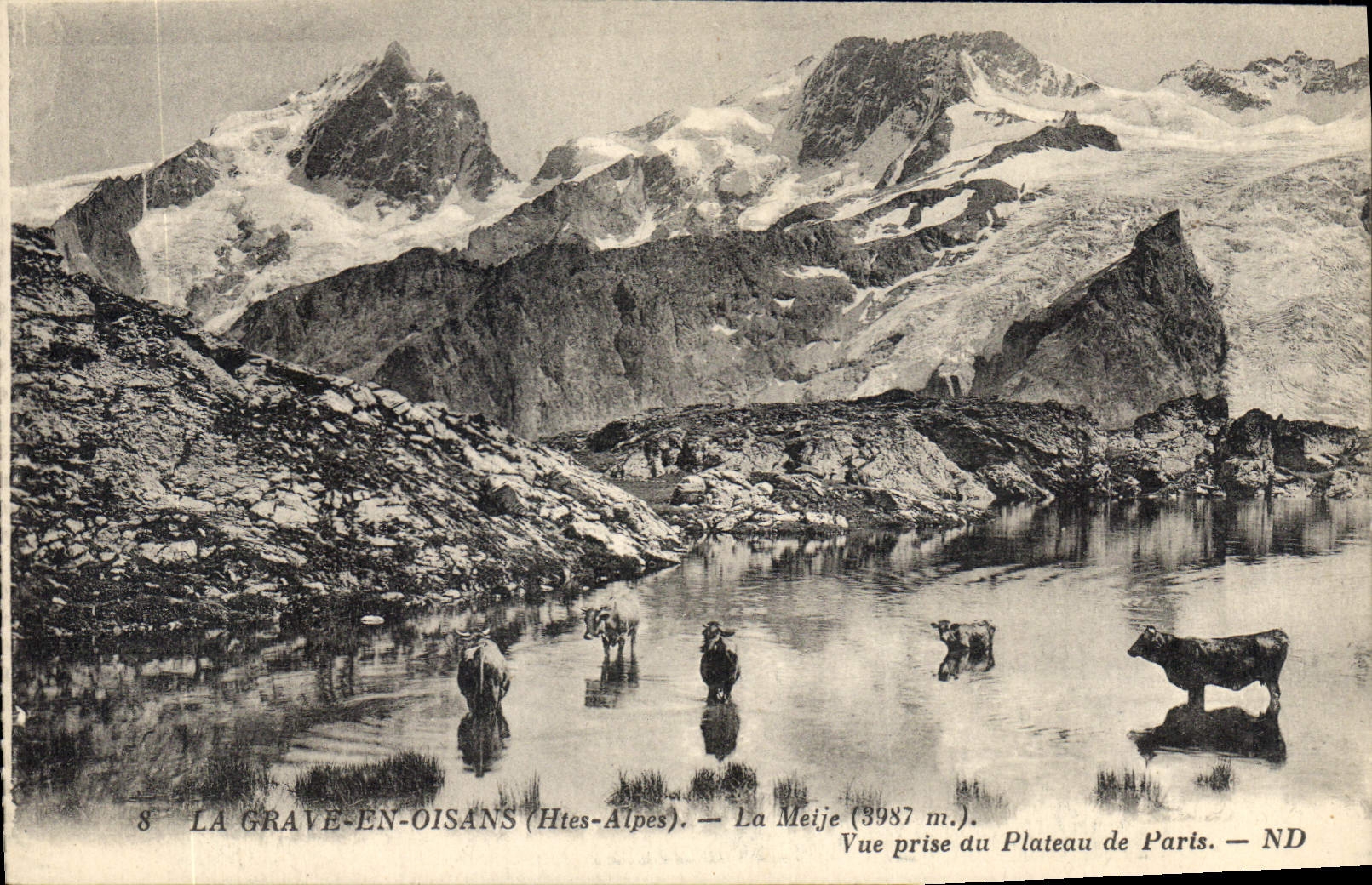 CPA La Grave en Oisans Hautes Alpes La Meije Vue prise du Plateau de Paris Vaches