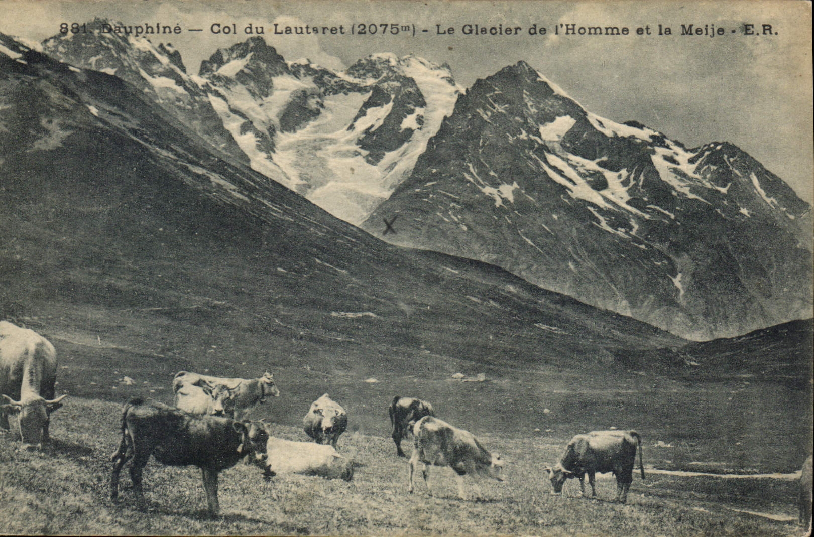 CPA Dauphine Col du Lauteret Le Glacier de l'Homme et la Meije Vaches
