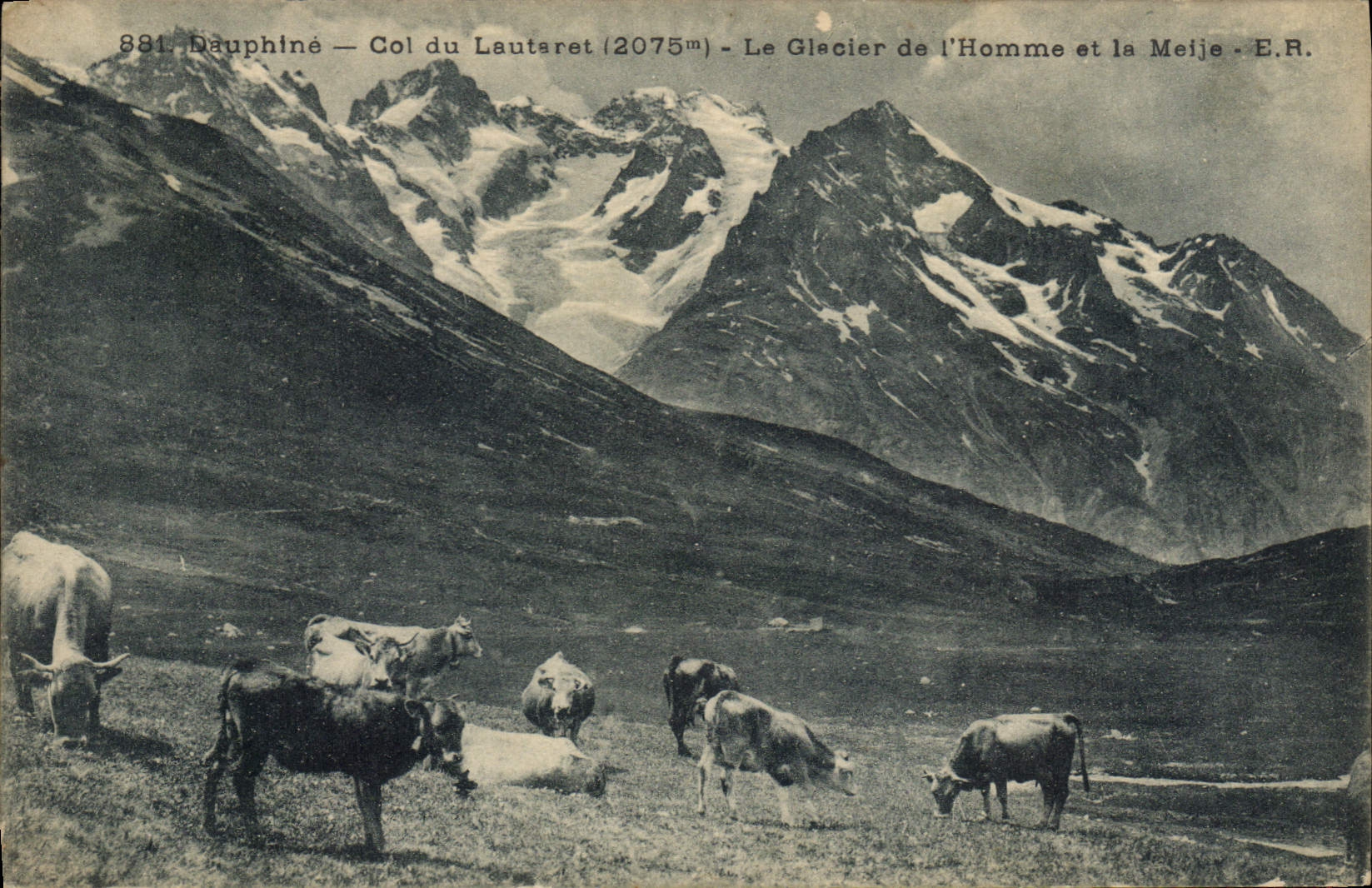 CPA Dauphine Col du Lautaret Le Glacier de l'Homme et la Meije Vaches