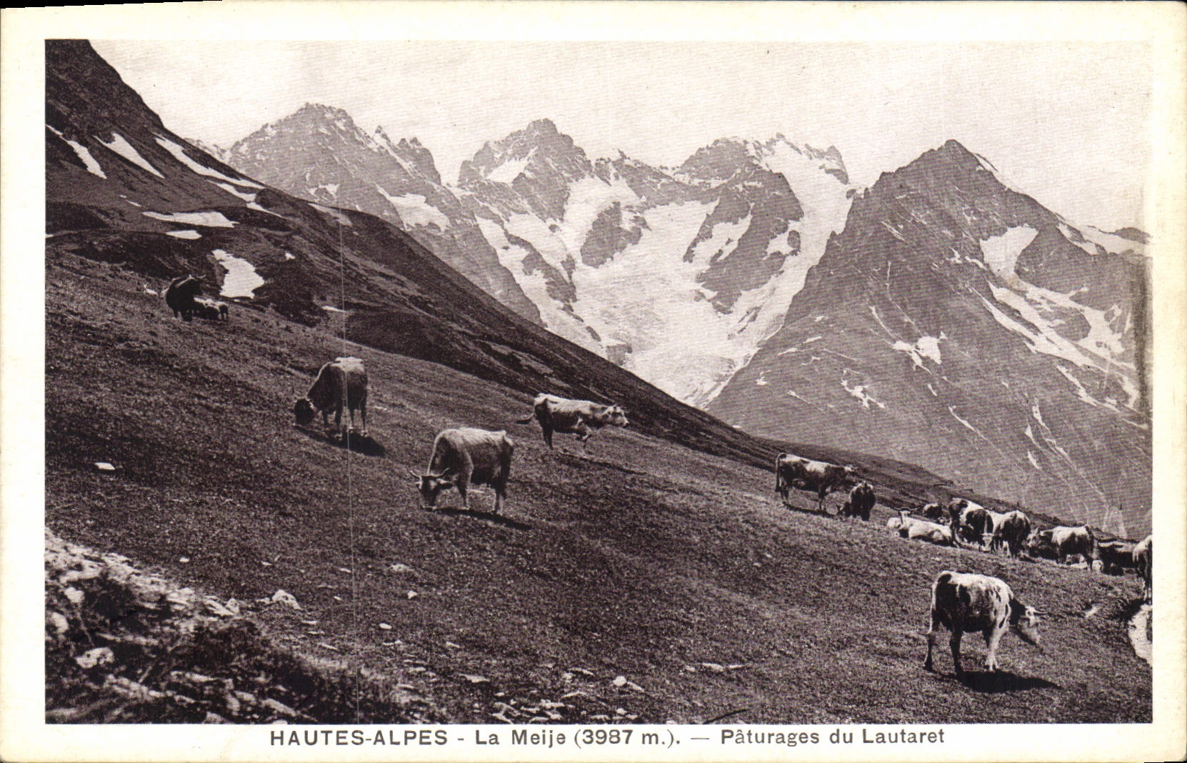 CPA Hautes Alpes La Meije Paturages du Lautaret