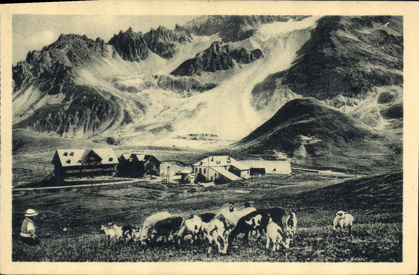 CPA Le Lautaret les hotels et le Combeynot Vaches