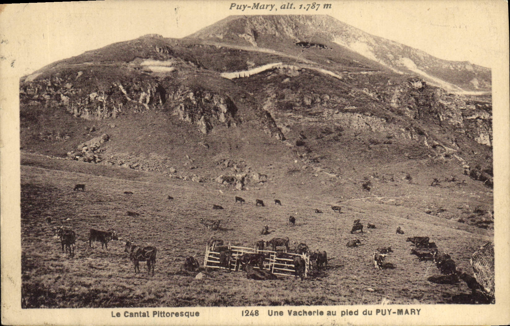 CPA Le Cantal Pittoresque une Vacherie au Pied du Puy Mary 