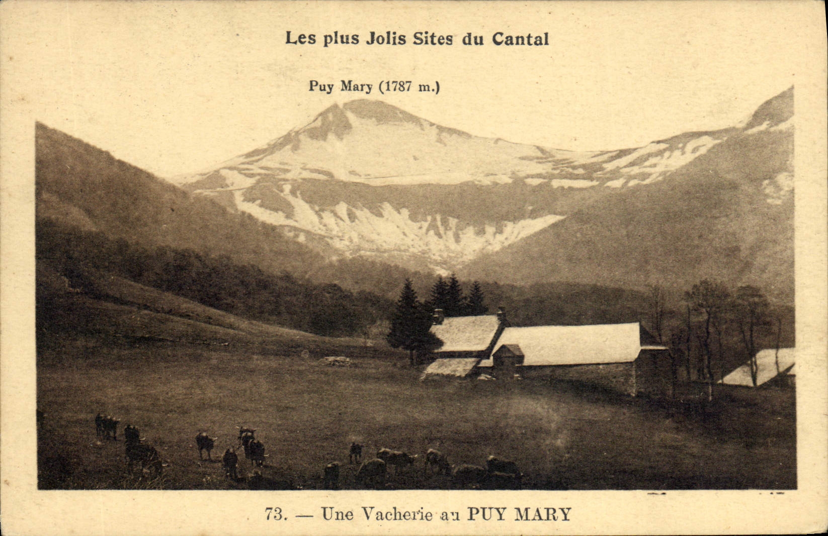 CPA Les Plus Jolis Sites du Cantal Puy Mary une Vacherie au Puy Mary