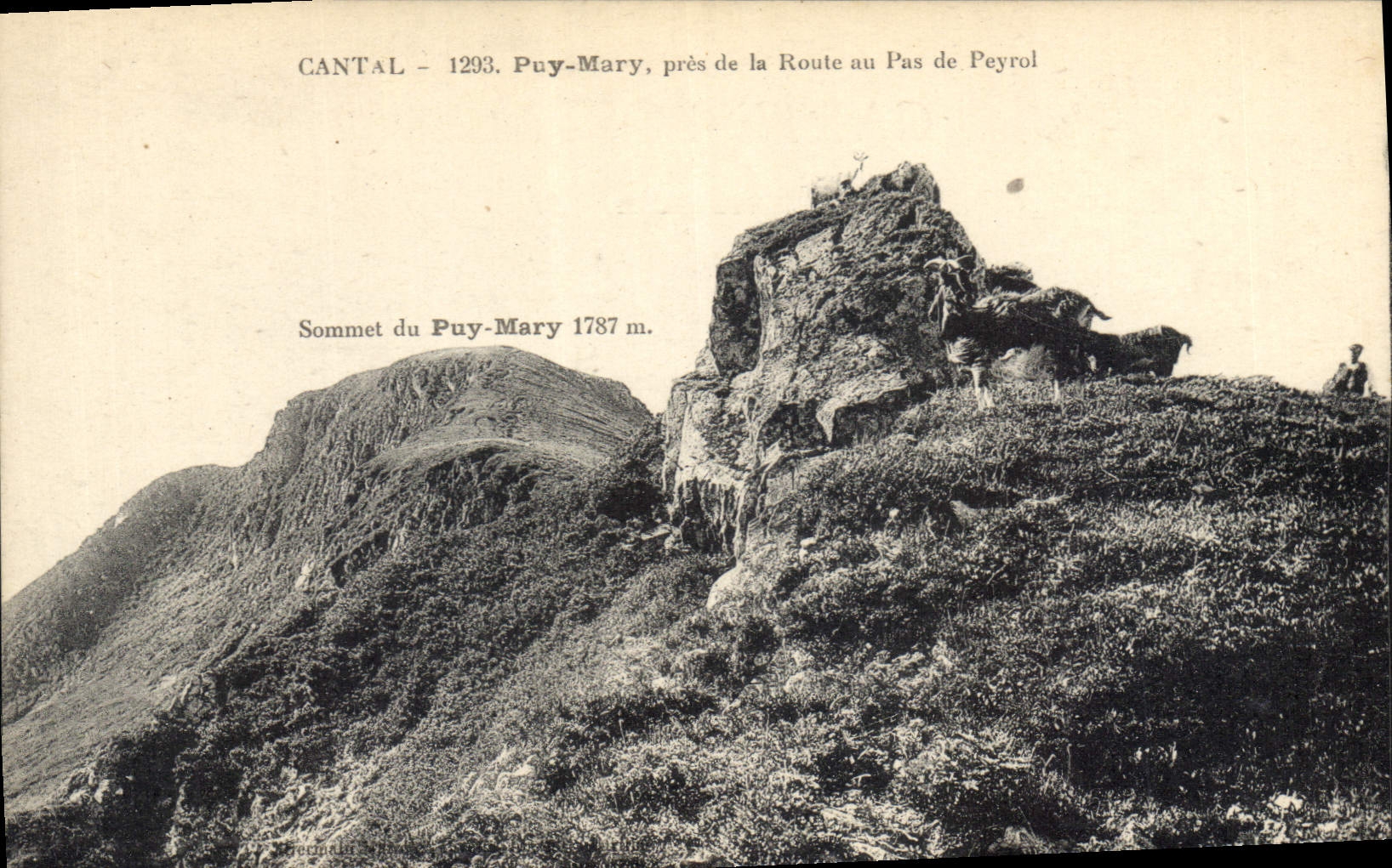 CPA Cantal Puy Mary pres de la Route au pas de Peyrol Sommet du Puy Mary Chevre