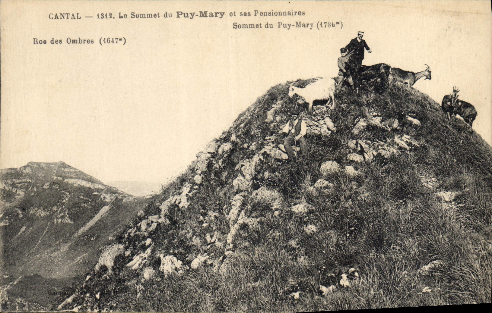 CPA Cantal Le Sommet du Puy Mary et ses Pensionnaires Chevres