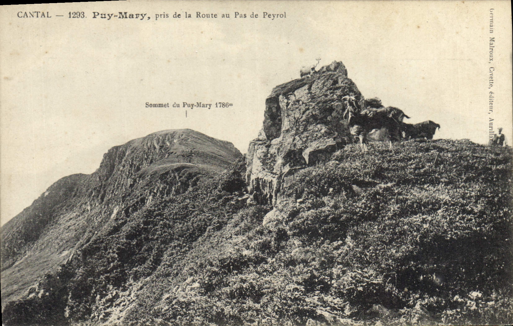 CPA Cantal Puy Mary pris de la Route au Pas de Peyrol 