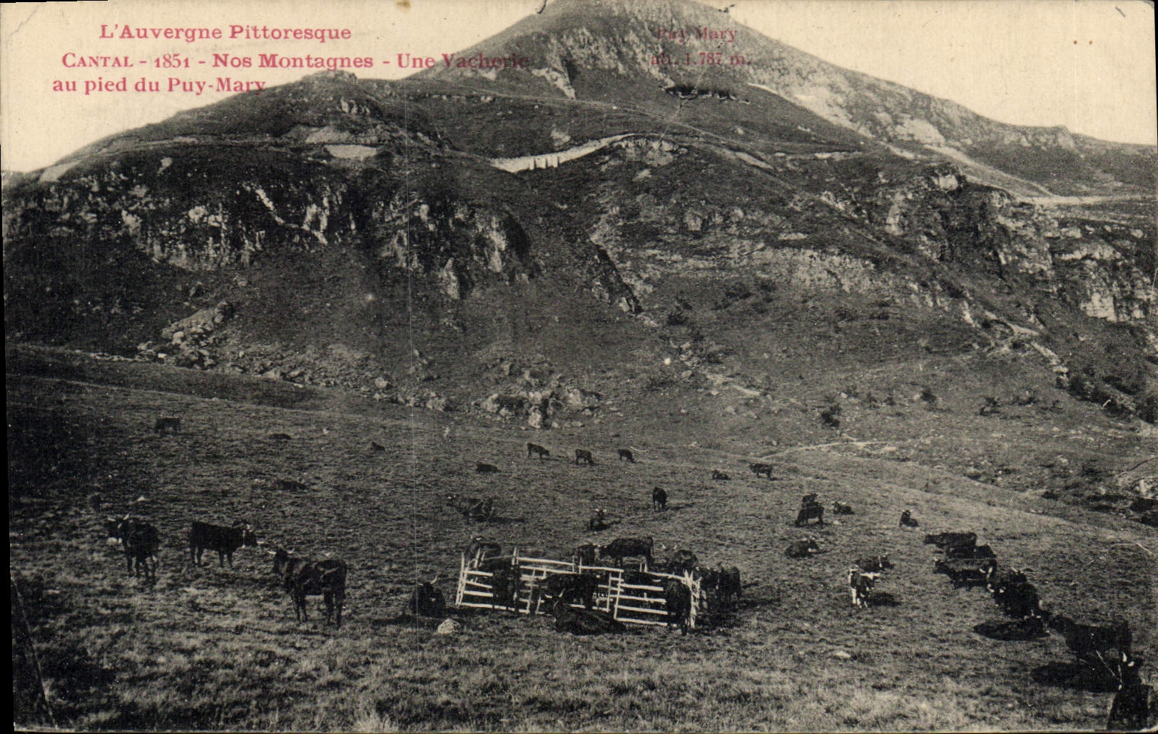 CPA L'Auvergne Pittoresque Cantal Nos Montagnes au Pied du Puy Mary  