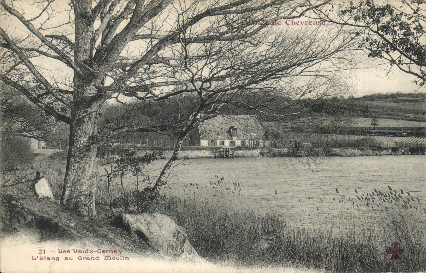 CPA Vallee de Chevreuse les Vaux de Cernay l'Etang au grand Moulin 