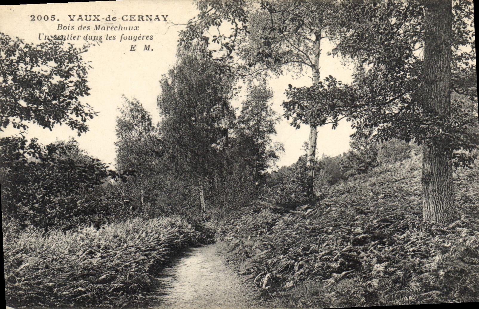 CPA Vaux de Cernay Bois des Marechaux un Sentier dans les Fougeres