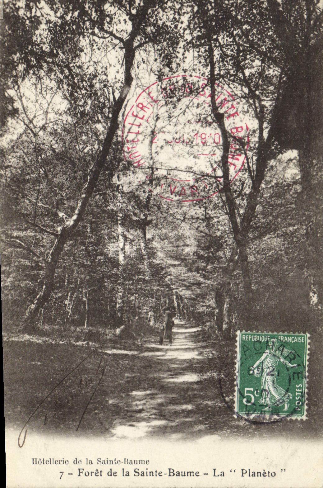 CPA Foret de la Sainte Baume La Planeto