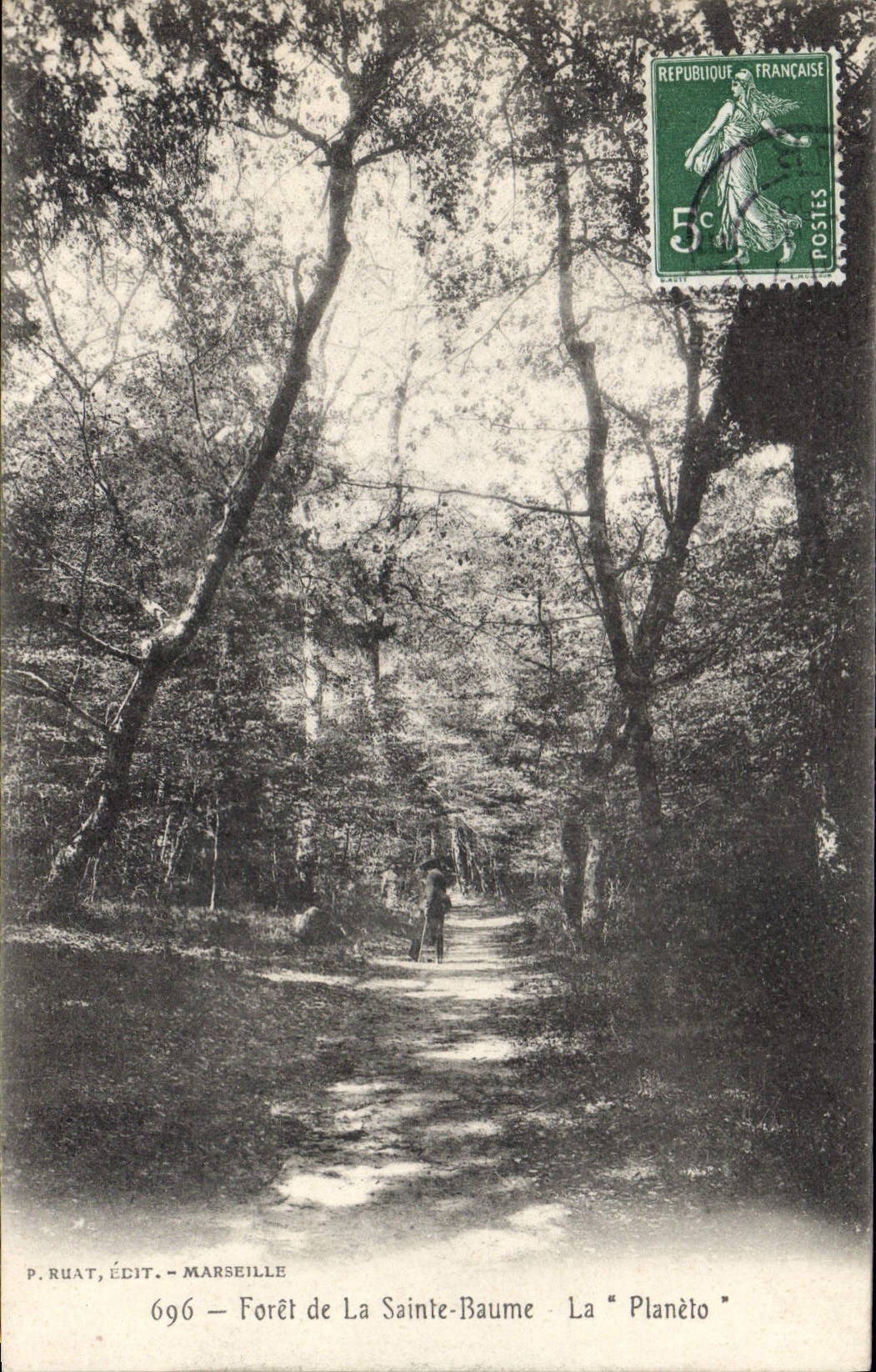 CPA Foret de la Sainte Baume La Planeto