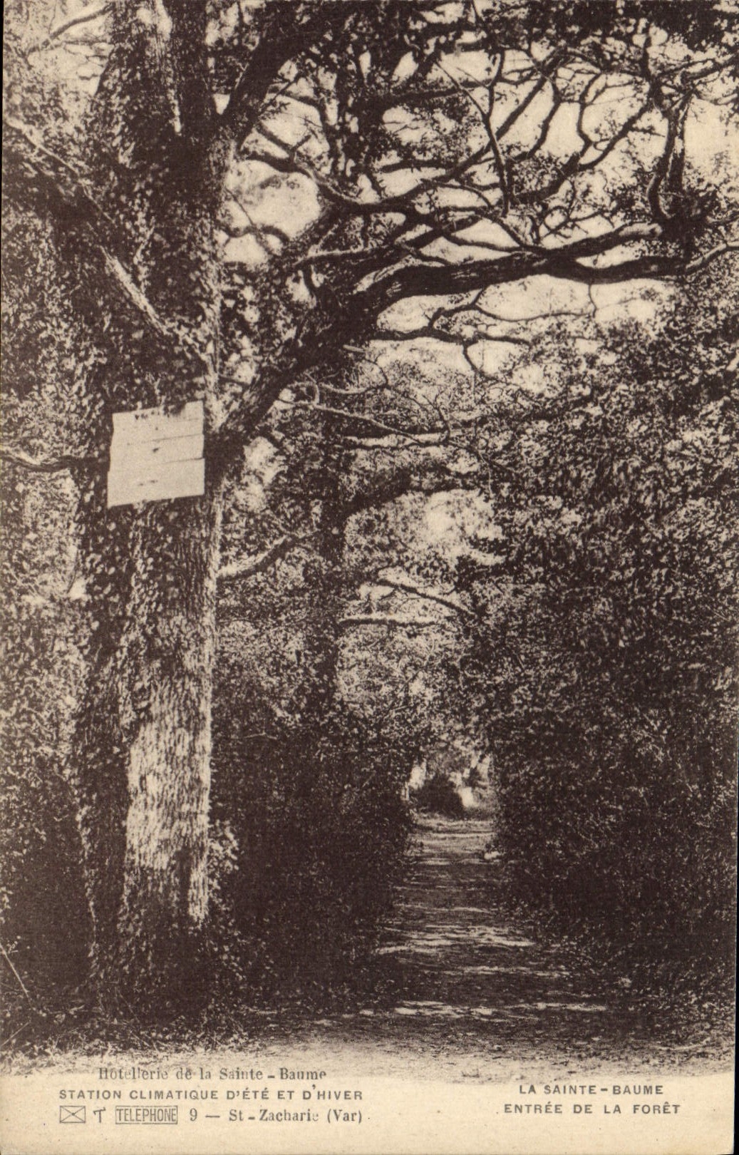 CPA La Sainte Baume Entree de la Foret 