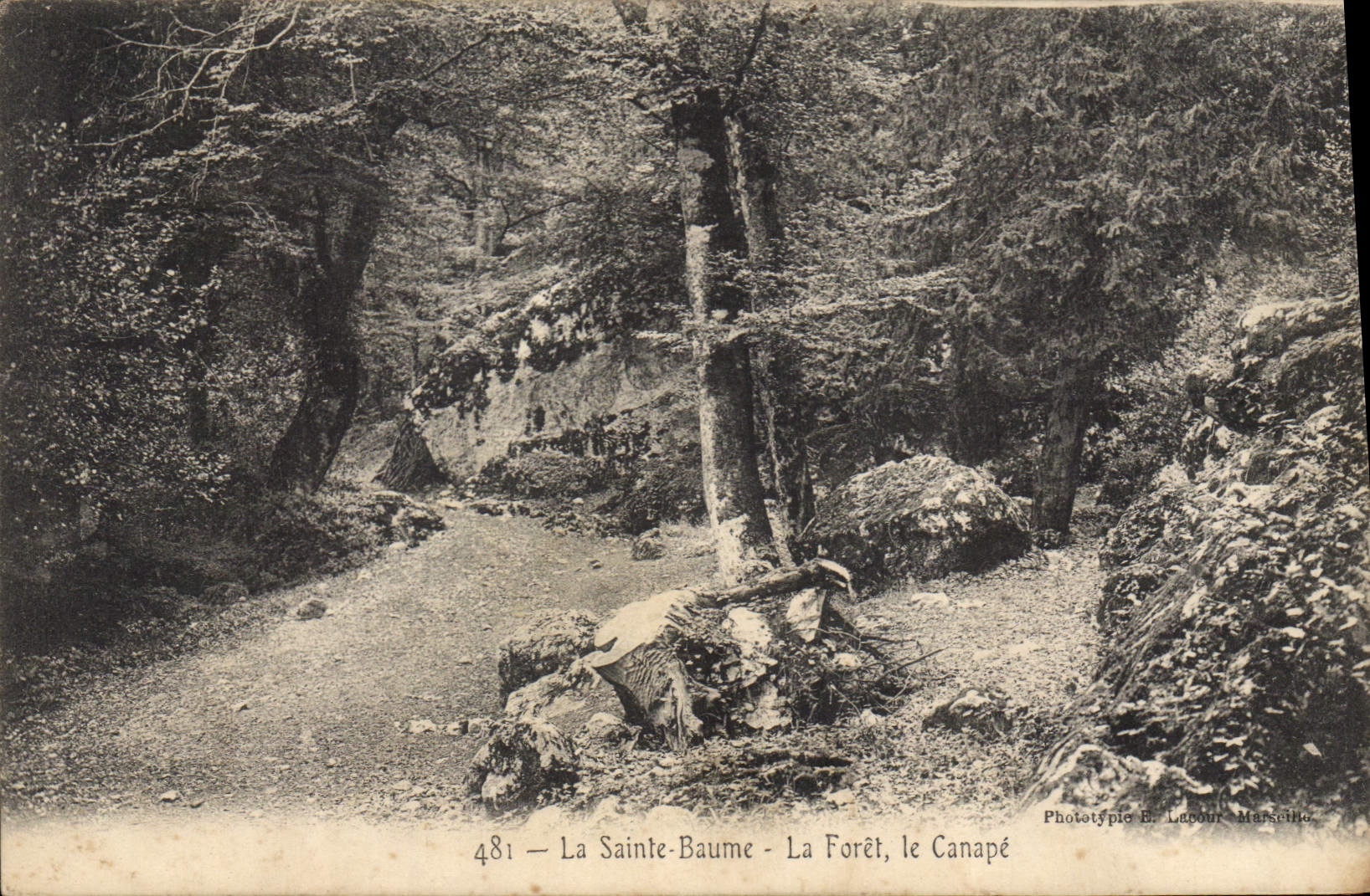 CPA La Sainte Baume La Foret le Canape 