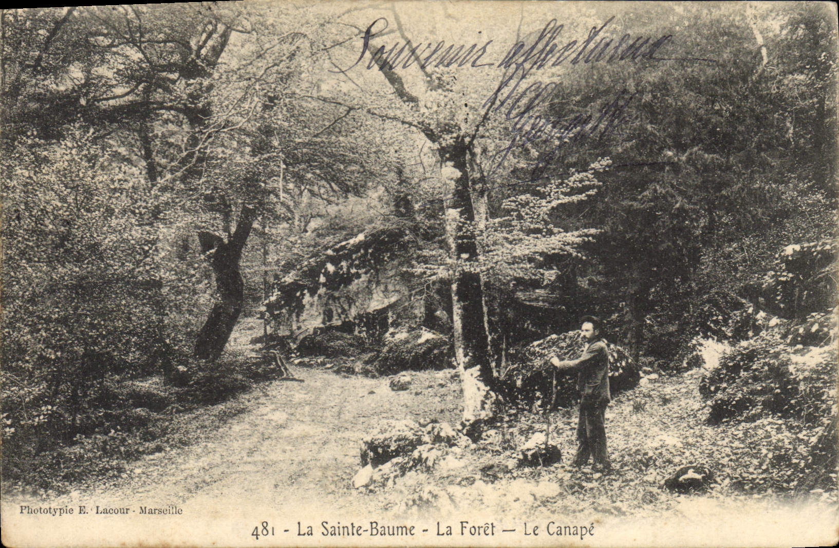 CPA La Sainte Baume La Foret Le Canape 