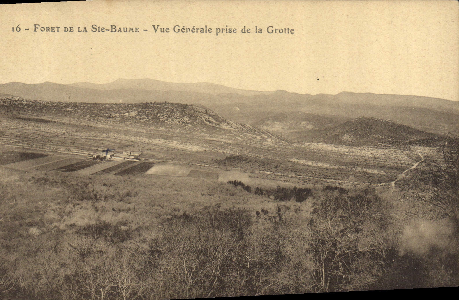 CPA Foret de la Ste Baume Vue generale prise de la Grotte 
