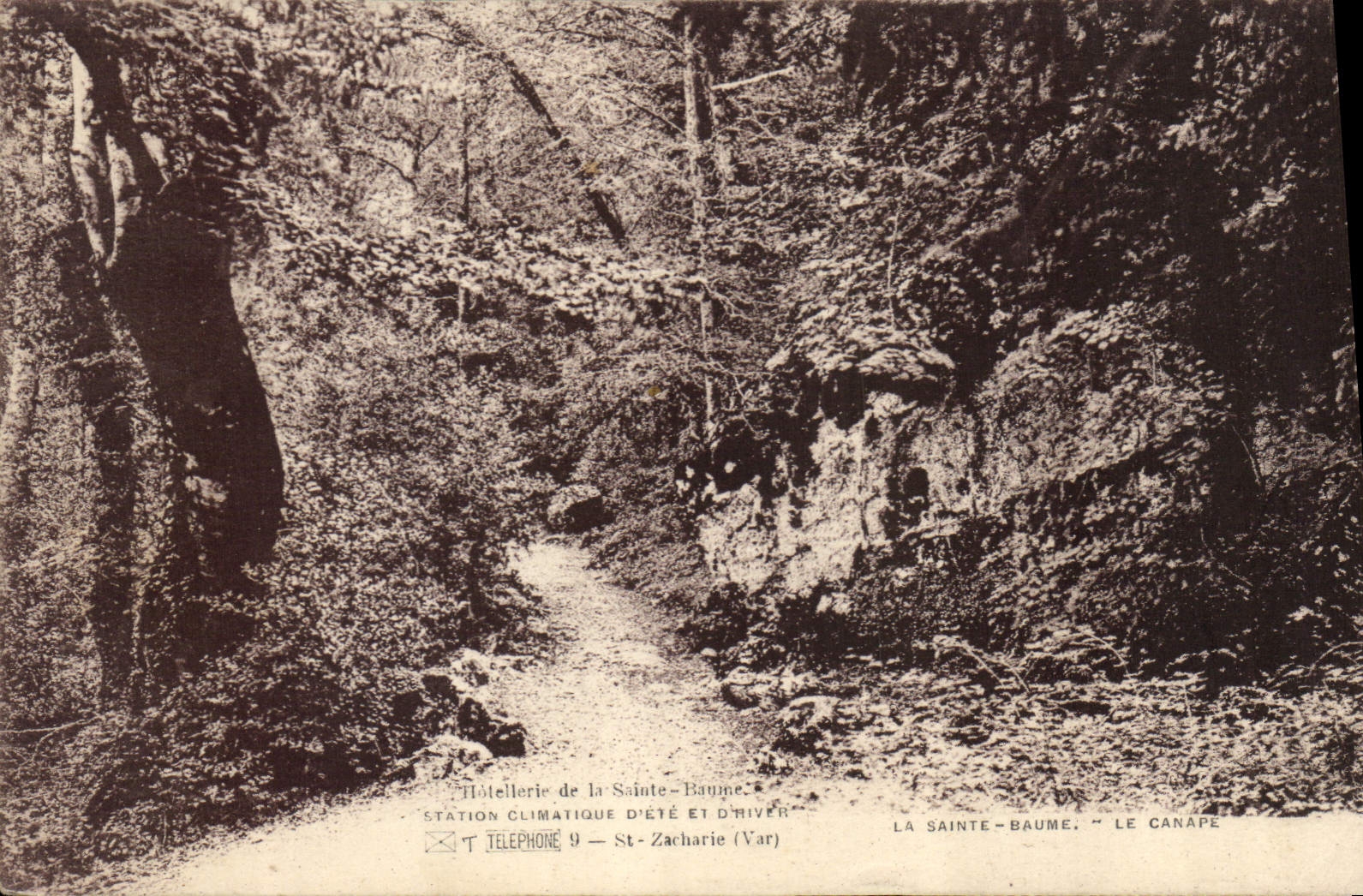 CPA La Sainte Baume Le Canape 