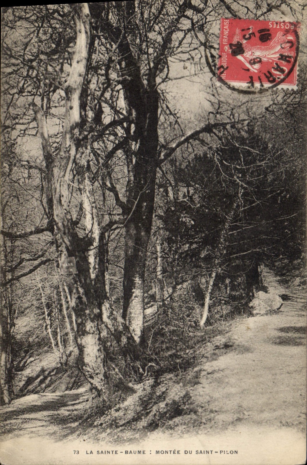 CPA La Sainte Baume Montee du Saint Pilon